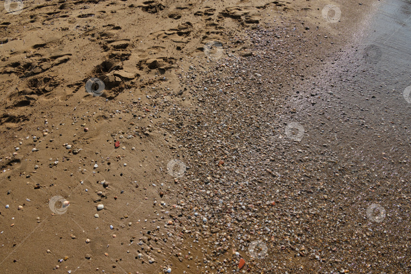 Скачать Прогулка по берегу Черного моря. Отдых на базе отдыха. фотосток Ozero