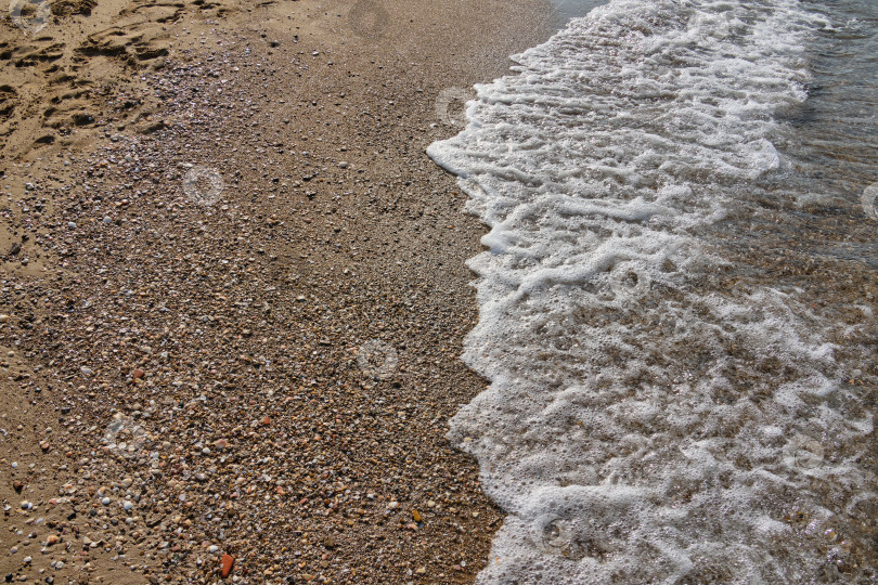 Скачать Прогулка по берегу Черного моря. Отдых на базе отдыха. фотосток Ozero