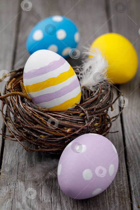 Скачать Пасхальные яйца разных цветов на деревянном столе, в гнезде из березовых веток фотосток Ozero