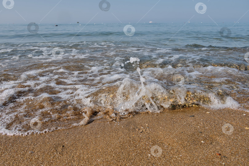 Скачать Прогулка по берегу Черного моря. Отдых на базе отдыха. фотосток Ozero