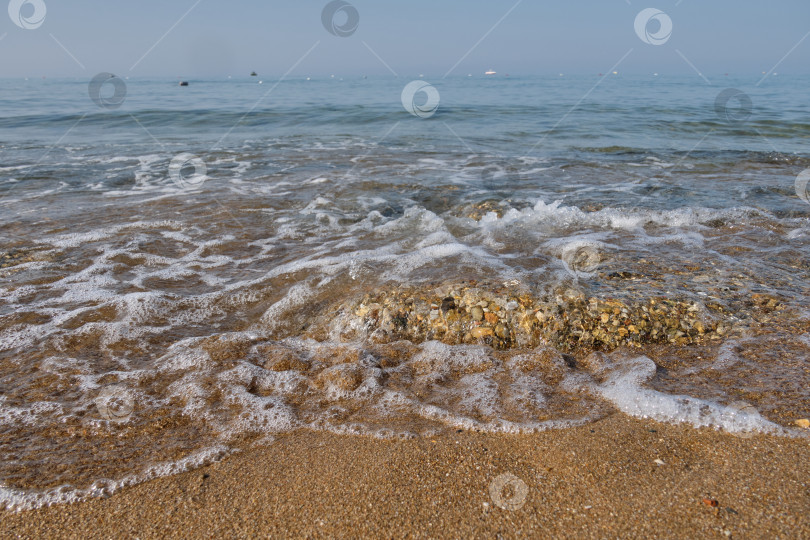 Скачать Прогулка по берегу Черного моря. Отдых на базе отдыха. фотосток Ozero