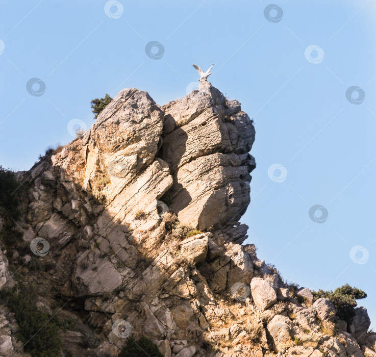 Скачать Памятник чайке на скале. фотосток Ozero