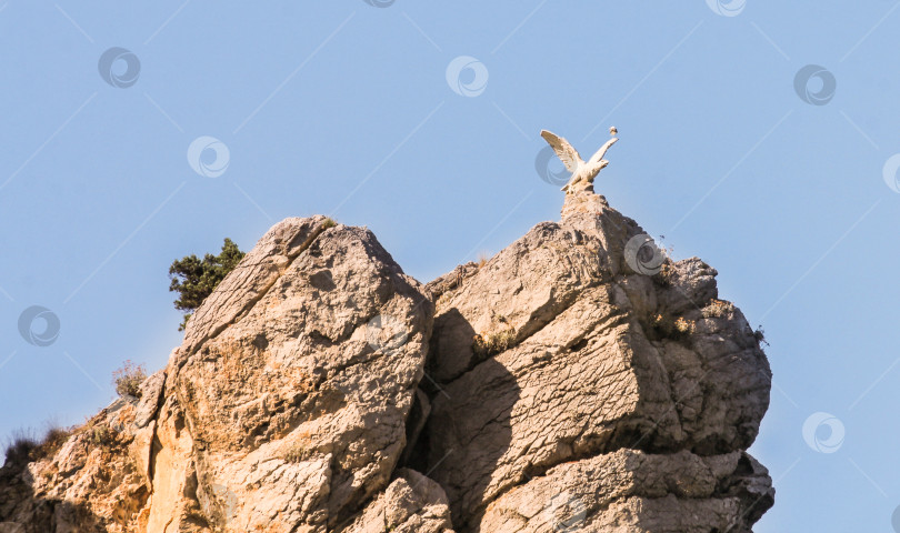 Скачать Памятник морской чайке на скале. фотосток Ozero