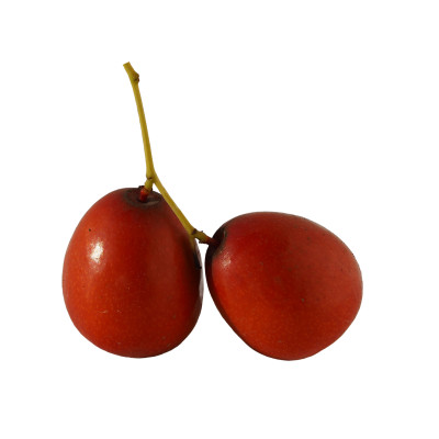 [object Object] undefined