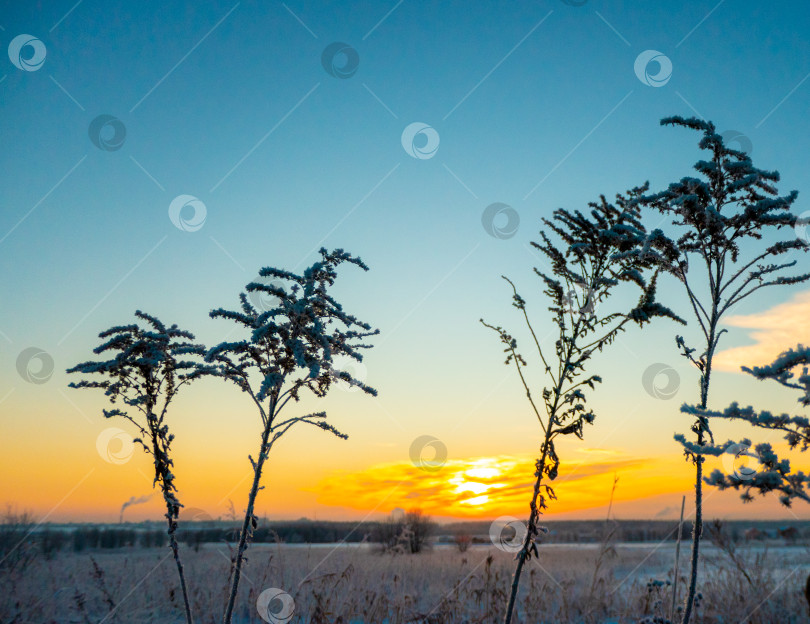 Скачать Прекрасный закат с дорожками на фоне снежной зимы фотосток Ozero