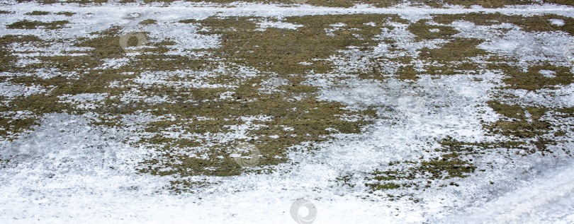 Скачать текстура травы, растущей весной сквозь снег фотосток Ozero