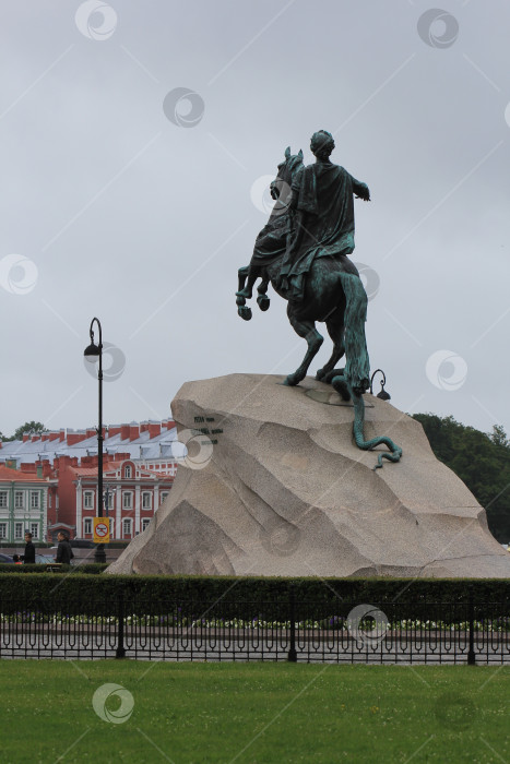 Скачать Медный всадник со спины фотосток Ozero