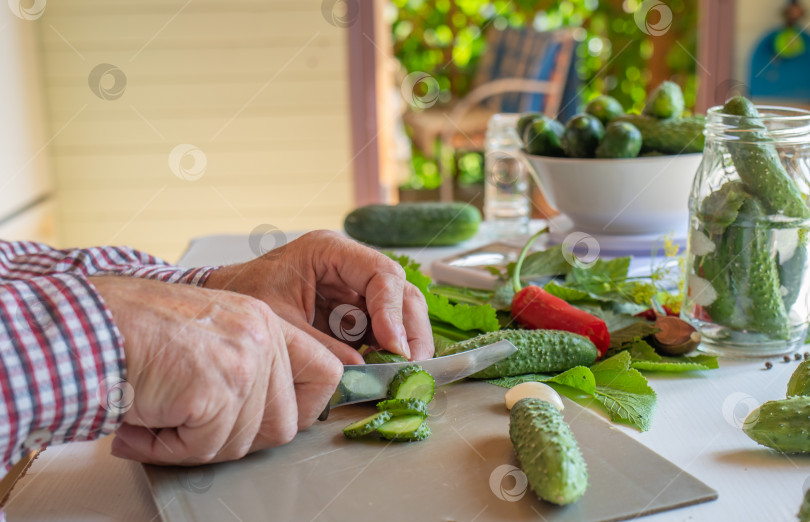 Скачать Современные мужские руки режут салат из огурцов, отличный дизайн для любых целей. Свежий органический овощ. Бизнес-концепция. Современный дизайн. Приготовление здоровой полезной пищи. фотосток Ozero