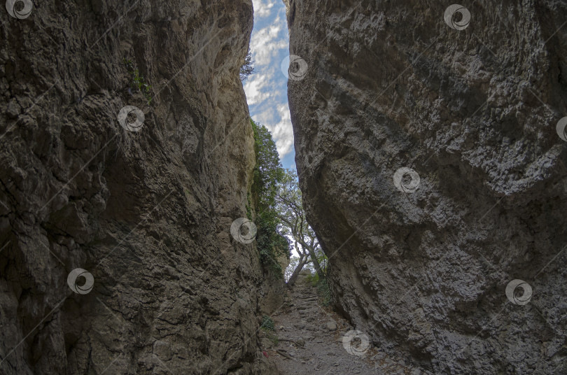 Скачать Крым. Вид на узкое ущелье. фотосток Ozero