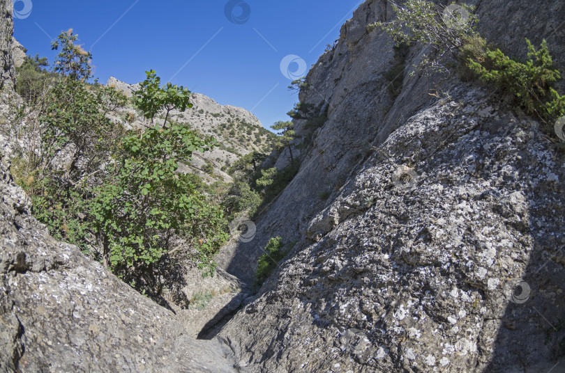 Скачать Ущелье в Крымских горах. фотосток Ozero