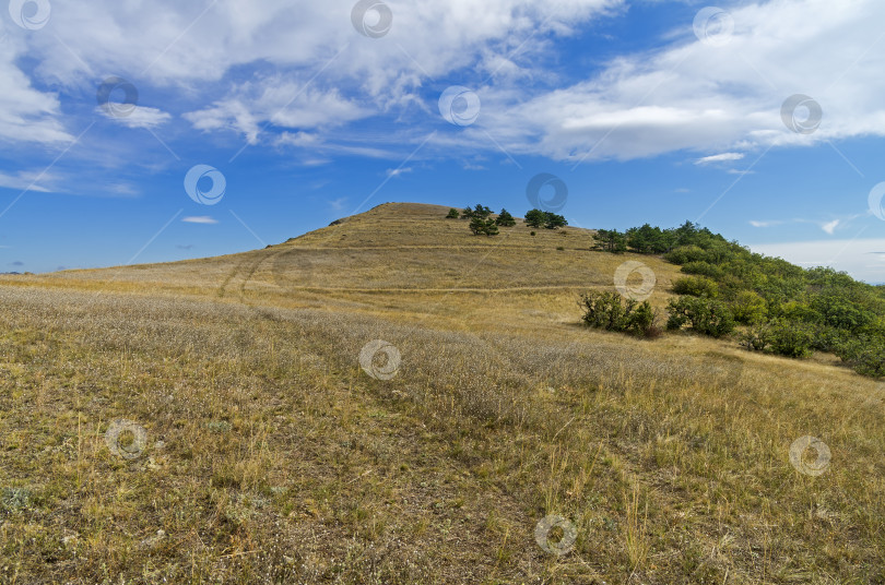 Скачать Вершина горного хребта. Крым, сентябрь. фотосток Ozero