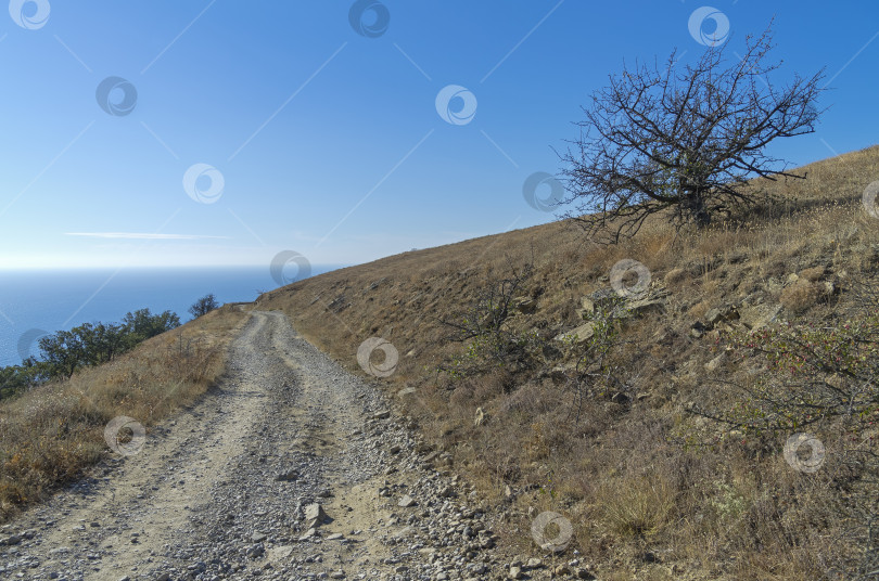Скачать Грунтовая дорога в Крымских горах. фотосток Ozero