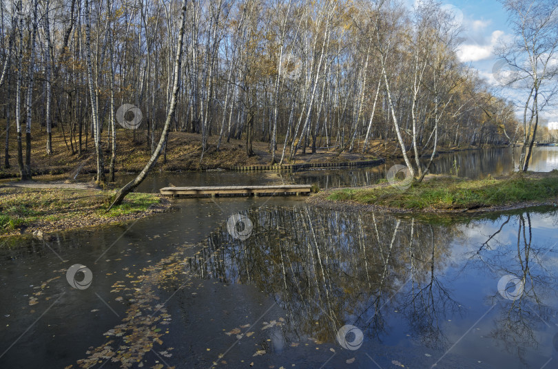 Скачать Пруд в лесопарке в конце октября. фотосток Ozero