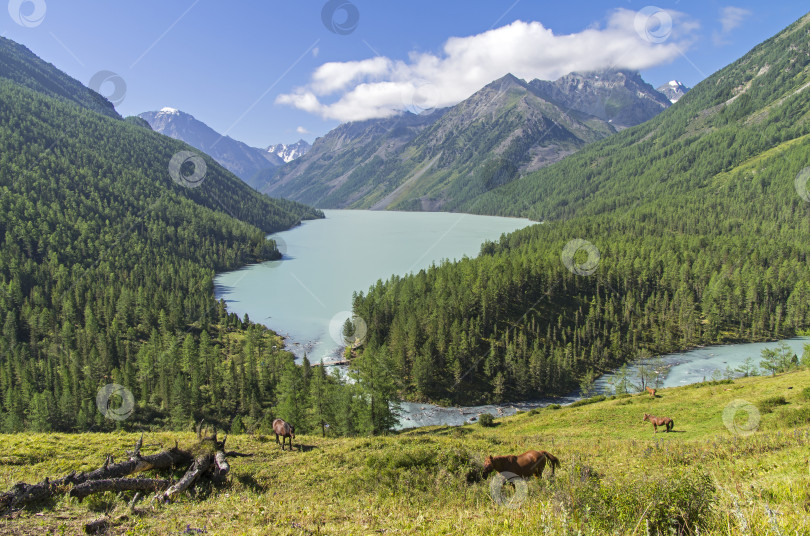 Скачать Озеро Кучерла. Горный Алтай, Россия. фотосток Ozero