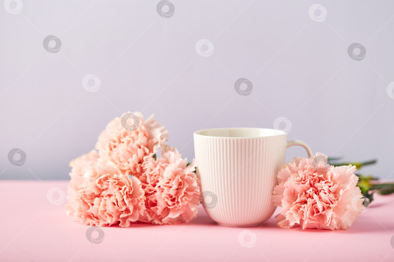 Скачать Букет из розовых гвоздик и белой чашки. Концепция дизайна праздничного поздравления с букетом гвоздик на розовом и голубом фоне фотосток Ozero