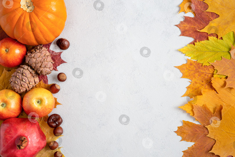 Скачать Осенняя рамка с желтыми кленовыми листьями, орехами, яблоками и тыквой. Осенний урожай на бетонно-сером фоне, плоская выкладка с пространством для копирования. фотосток Ozero
