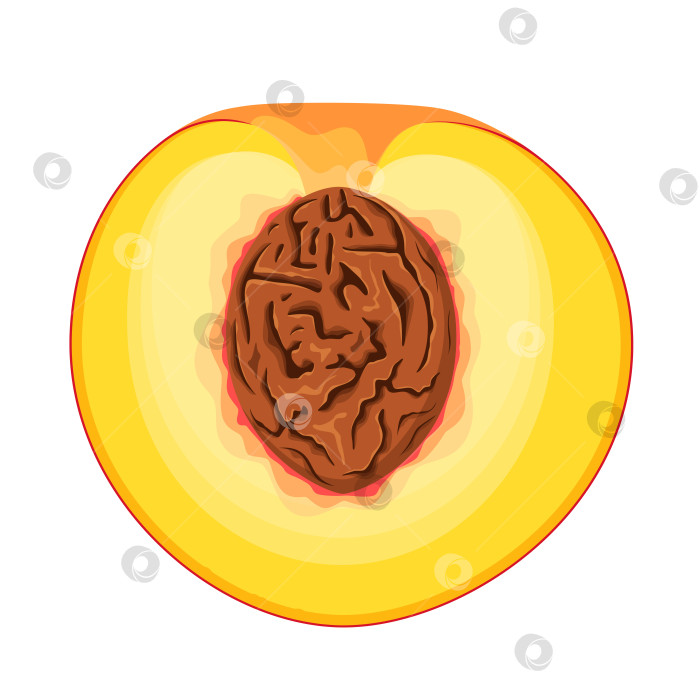 Скачать Половинка персика фотосток Ozero