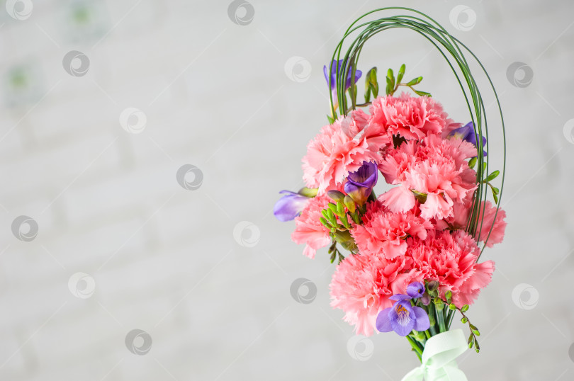 Скачать Красивая композиция с розовыми кустовыми гвоздиками и фрезией, выделенными на белом фоне фотосток Ozero