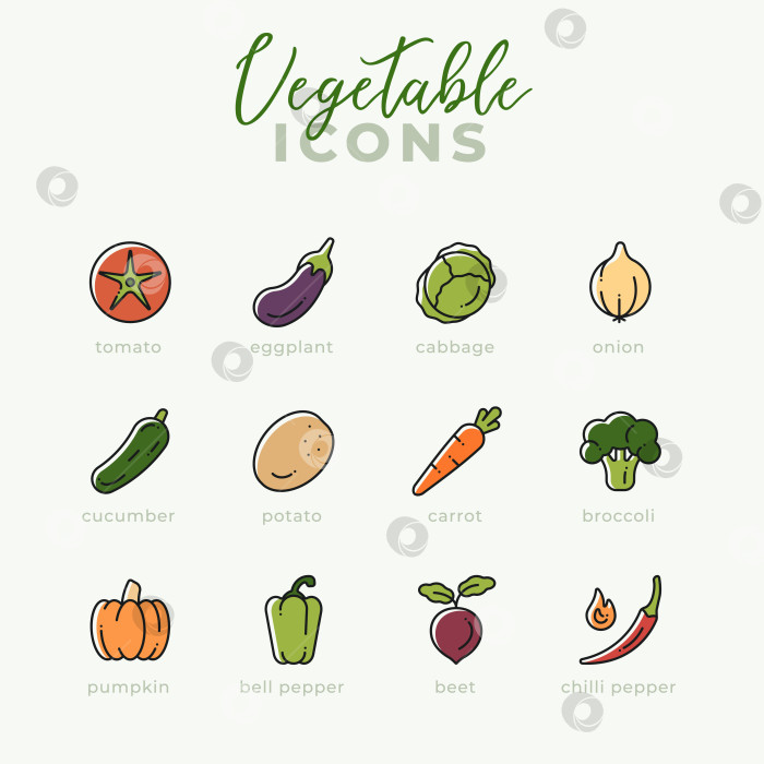 Скачать Набор значков овощей. Значки основных овощей. фотосток Ozero