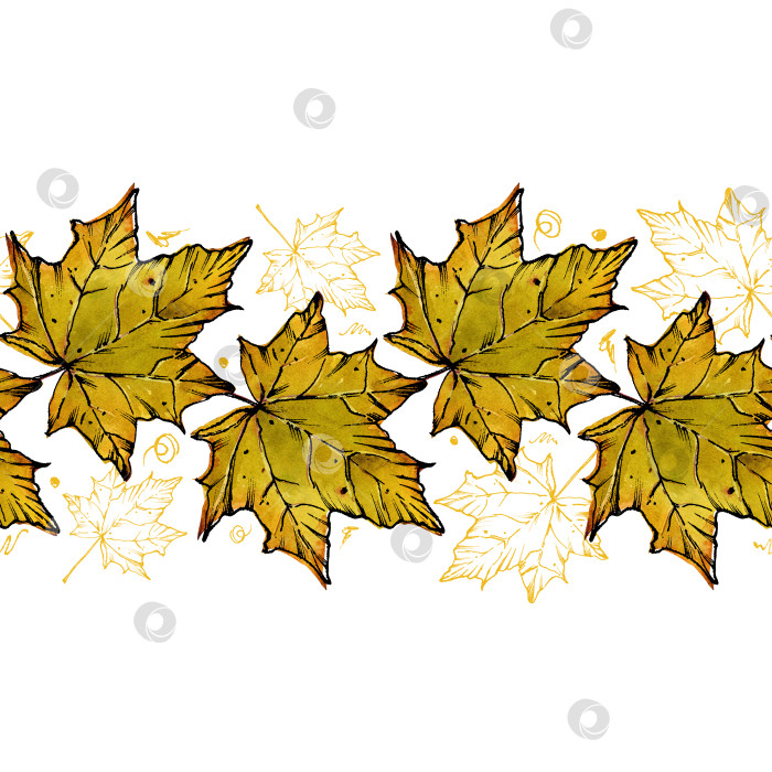 Скачать Узор окаймлен желтыми осенними кленовыми листьями. Опавшие листья. Смешанная техника: графика и акварель. Иллюстрация для дизайна упаковки, атласные ленты, ткань. Изолированный белый фон. фотосток Ozero