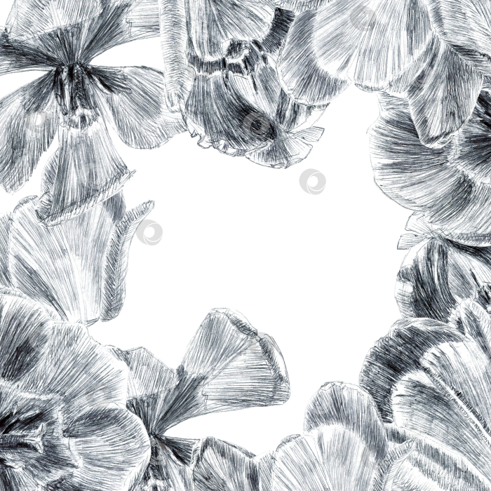 Скачать Поздравительная открытка с цветами тюльпана, нарисованная чернильной ручкой на прозрачном фоне фотосток Ozero