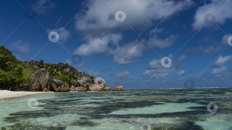 Скачать Сквозь прозрачную бирюзовую воду видны колонии кораллов фотосток Ozero