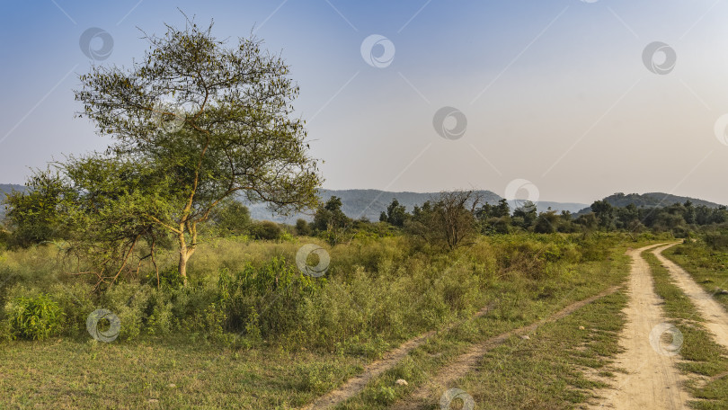 Скачать Грунтовая дорога для сафари уходит вдаль. фотосток Ozero