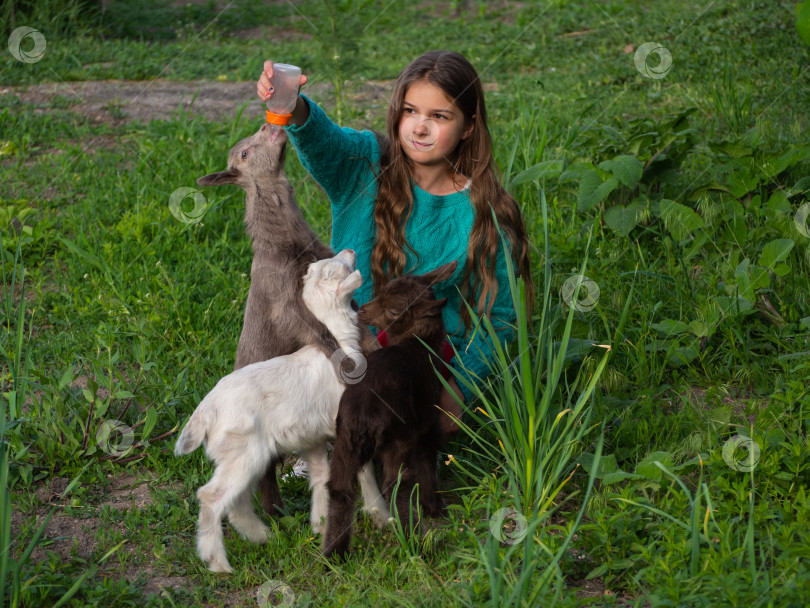 Скачать Симпатичная девушка кормит маленьких козлят из бутылочки на зеленой лужайке. фотосток Ozero