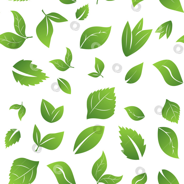 Скачать Бесшовный узор из свежих разноцветных сочных зеленых листьев на белом фоне фотосток Ozero