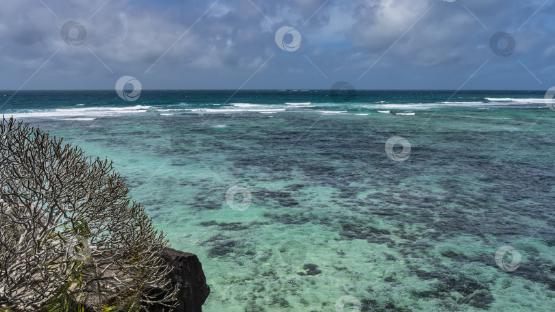 Скачать Сквозь прозрачную бирюзовую воду видны кораллы на дне океана. фотосток Ozero