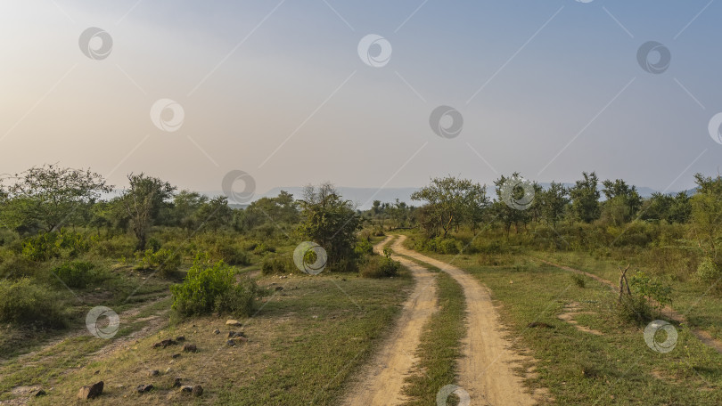 Скачать Дорога для сафари петляет по джунглям. фотосток Ozero