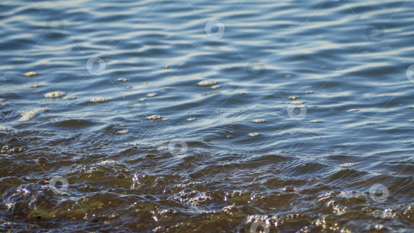 Скачать Текстура фона морской воды у берега. Поверхность фотосток Ozero