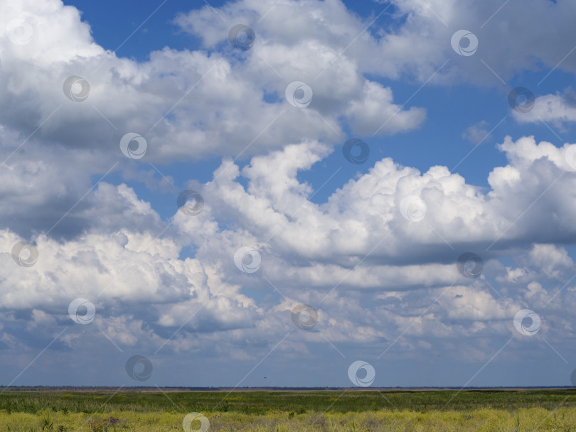 Скачать Прекрасное голубое небо с пушистыми облаками и зеленым лугом. синий s фотосток Ozero