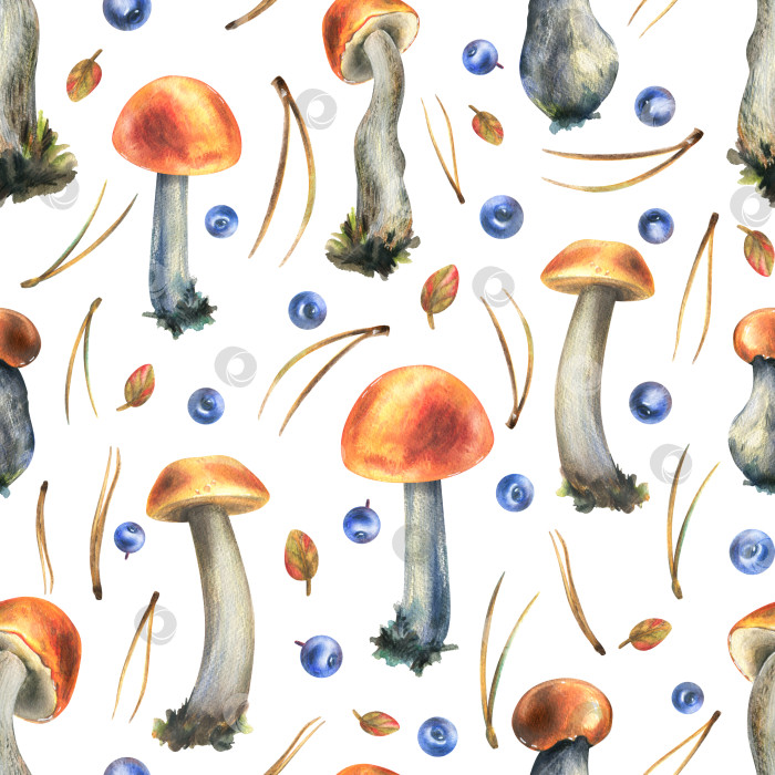 Скачать Лесные съедобные грибы с оранжевыми шляпками - подберезовики, листья, черника и сосновые иголки. Акварельная иллюстрация, нарисованная от руки. Бесшовный узор для упаковки, текстиля, обоев на белом фоне. фотосток Ozero
