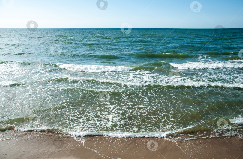 Скачать Берег Балтийского моря в штормовой день. Пляж в Зеленоградске, Калининград фотосток Ozero