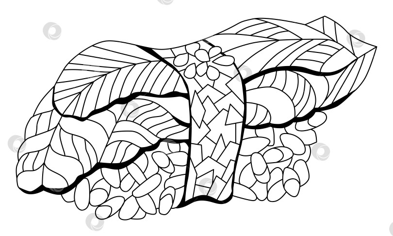 Скачать Измельчите авокадо нигири. Нарисованная от руки декоративная векторная иллюстрация для раскрашивания фотосток Ozero