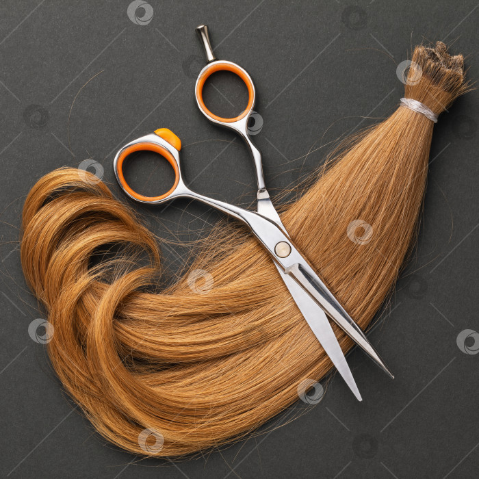Скачать Срезанная прядь детских женских волос светло-каштанового цвета на темном фоне, вид сверху, парикмахерские услуги фотосток Ozero