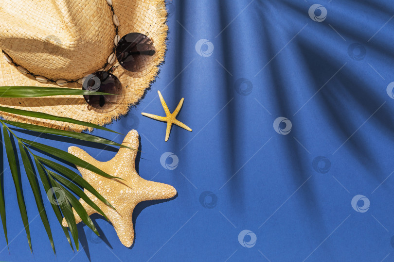 Скачать Пальмовый лист, шляпа, солнцезащитные очки и морские звезды на синем фоне с пробелом для копирования фотосток Ozero
