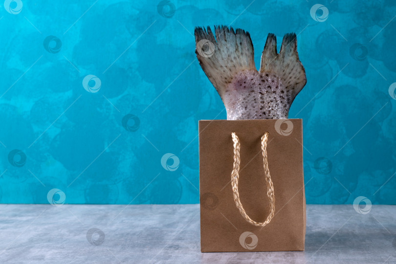 Скачать Хвост радужной форели с плавником в бумажном подарочном пакете на синем фоне. фотосток Ozero