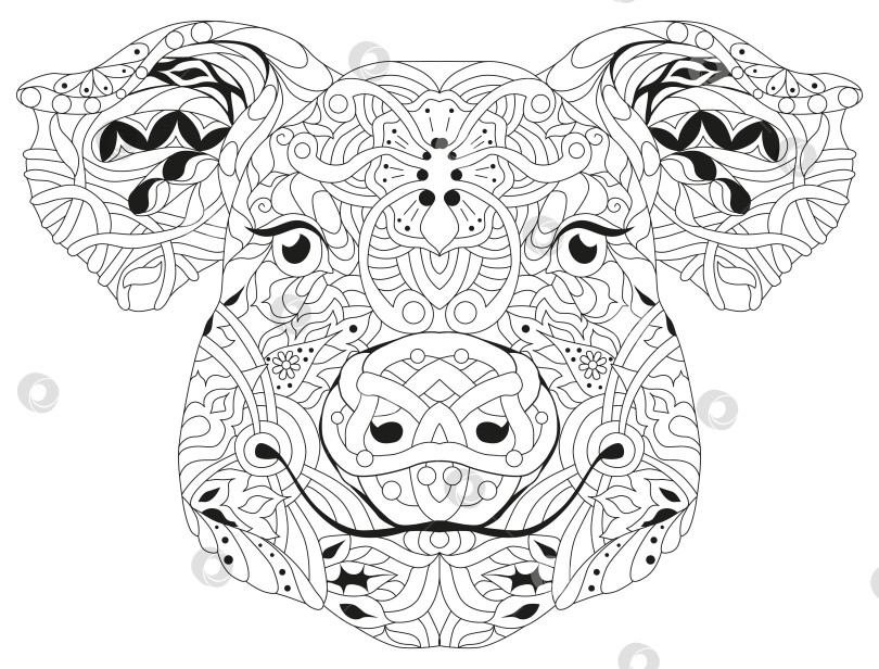 Скачать Свиная голова в форме Зентангла. Нарисованная от руки декоративная векторная иллюстрация для раскрашивания фотосток Ozero
