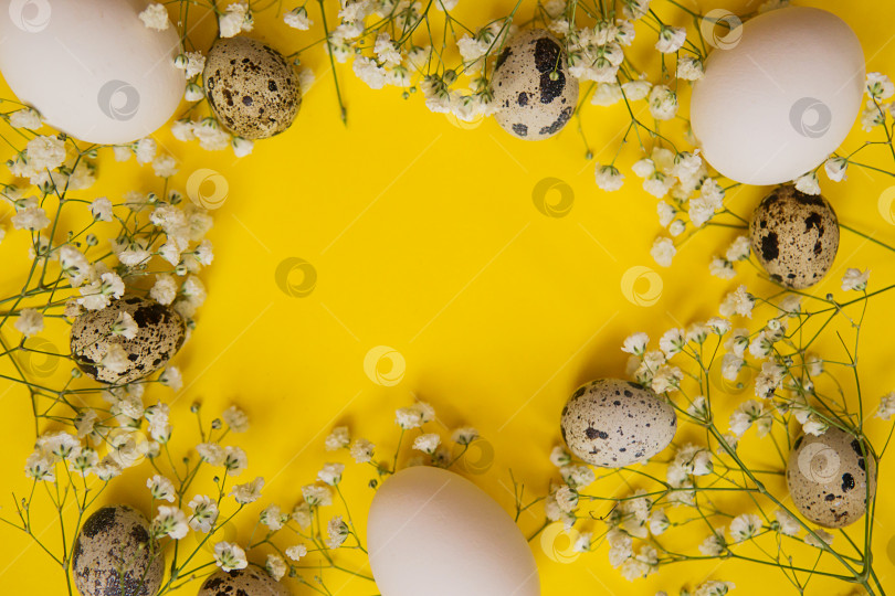 Скачать Пасхальный фон, различные яйца на желтом фоне, украшенные натуральными растительными элементами, плоская выкладка, вид сверху, пустое место для текста фотосток Ozero
