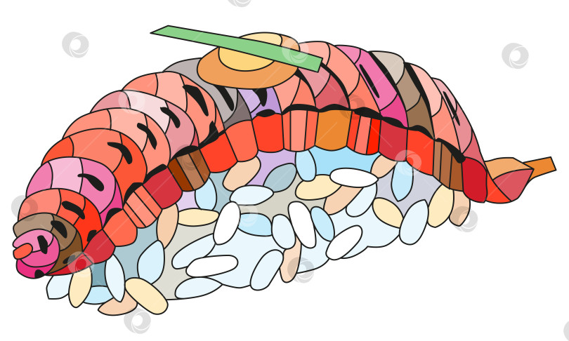 Скачать Нигири из запеченного лосося. Нарисованная от руки декоративная векторная иллюстрация фотосток Ozero