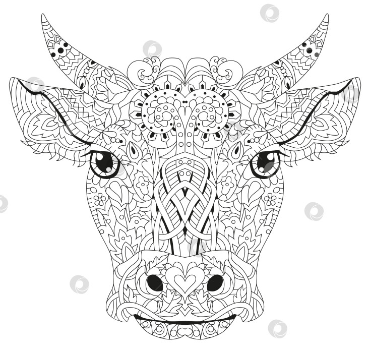 Скачать Узорчатая голова быка, векторная иллюстрация в стиле zentangle. фотосток Ozero