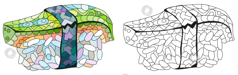 Скачать Измельчите авокадо нигири. Нарисованная от руки декоративная векторная иллюстрация. Набор цветов и контуров фотосток Ozero