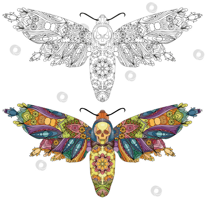 Скачать Стилизованная под зентангл бабочка. Векторная иллюстрация кружева, нарисованная от руки фотосток Ozero