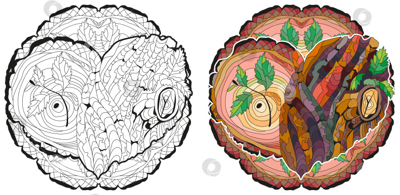 Скачать Схематичное сердце из каракулей с мандалой, с текстурой древесной коры и молодыми побегами. Набор цветов и контуров фотосток Ozero