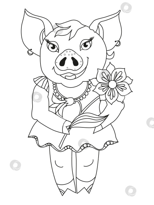 Скачать Контурный рисунок свиньи с цветком для раскрашивания фотосток Ozero