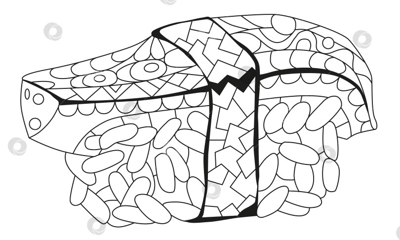 Скачать Нигири из запеченного лосося. Нарисованная от руки декоративная векторная иллюстрация для раскрашивания фотосток Ozero