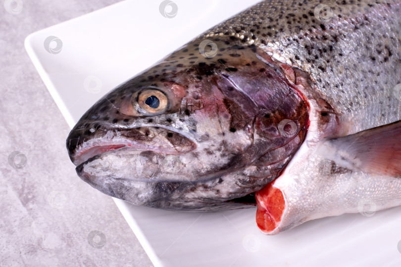 Скачать Голова радужной форели на белом блюде. Микисская рыба Oncorhynchus. фотосток Ozero