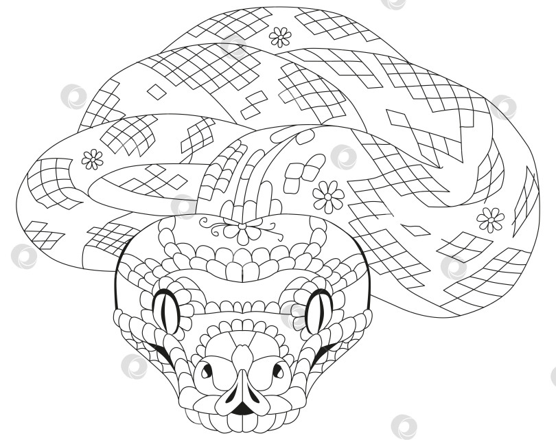 Скачать Зентангловая змея. Нарисованная от руки декоративная векторная иллюстрация для раскрашивания фотосток Ozero